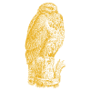 Buizerd