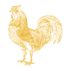 Haan