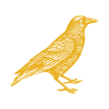 Kraai