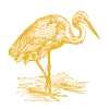 Reiger
