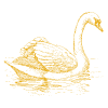 Zwaan